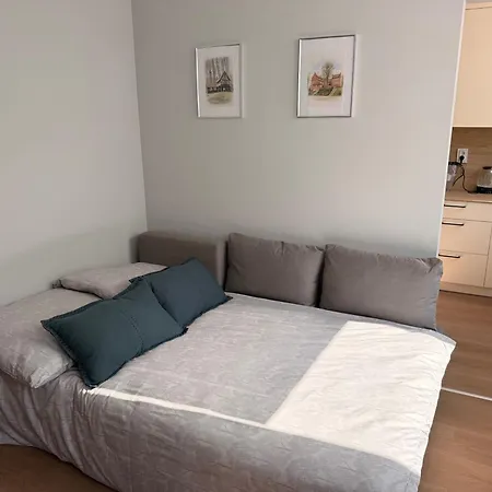 Z Widokiem Na Kasztanowce Apartment *
